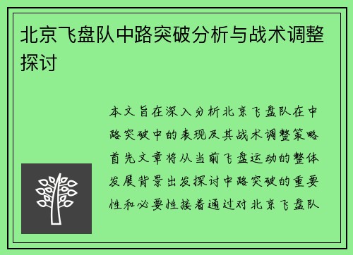 北京飞盘队中路突破分析与战术调整探讨